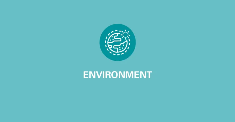 Environment